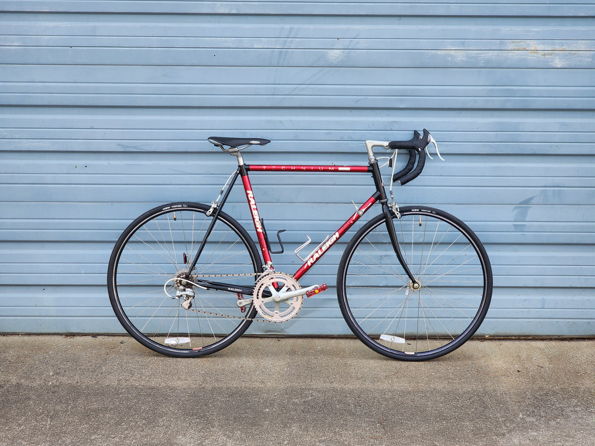 raleigh cycle computer