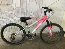 Load image into Gallery viewer, Nishiki Pueblo 24”