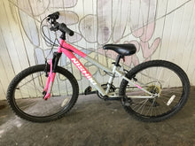 Load image into Gallery viewer, Nishiki Pueblo 24”