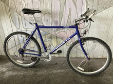 Load image into Gallery viewer, Rei Aspen 26”