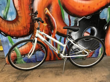 Load image into Gallery viewer, Cannondale H300